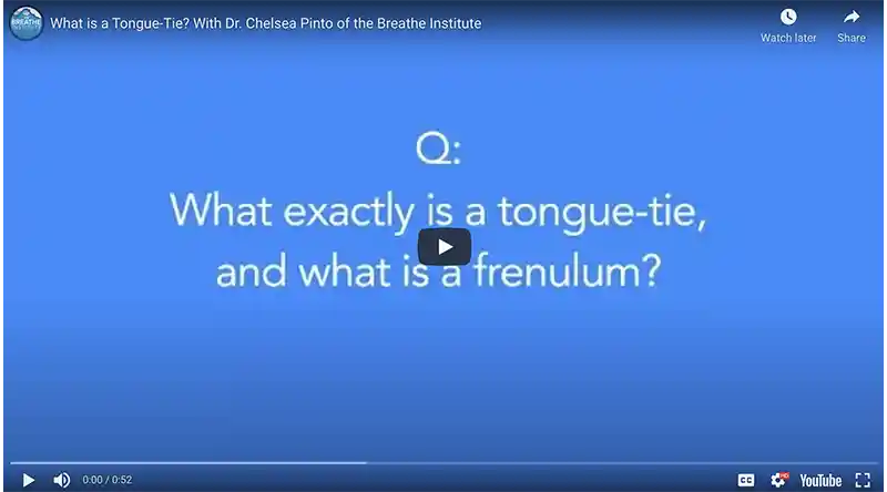What is a tongue tie? And what is a frenulum?